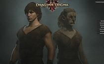 Dragon's Dogma 2 Fluffy Mod Manager